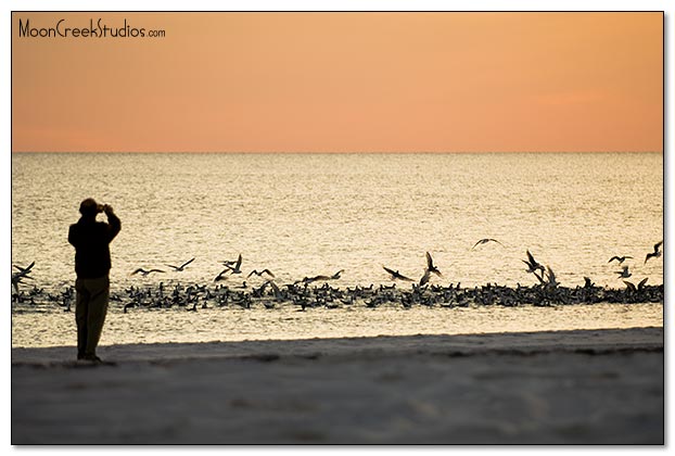 Beaches of South Walton Photograph