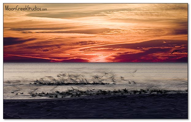 Beaches of South Walton Photograph