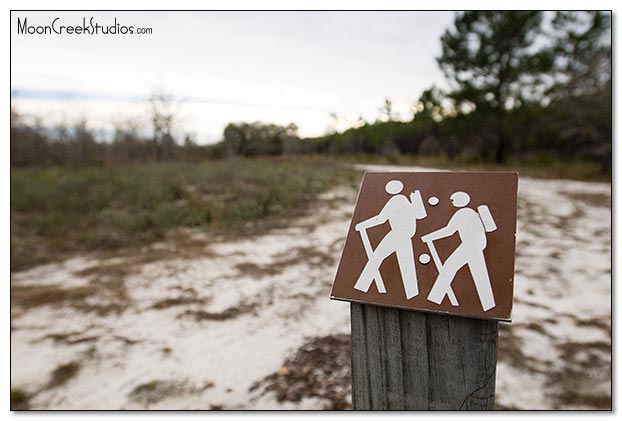 Beaches of South Walton Photograph