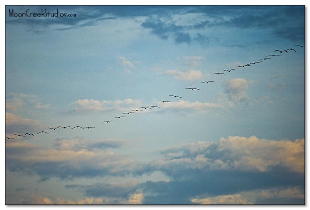 Beaches of South Walton Photograph