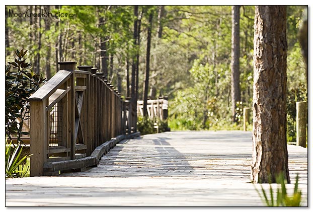 Beaches of South Walton Photograph