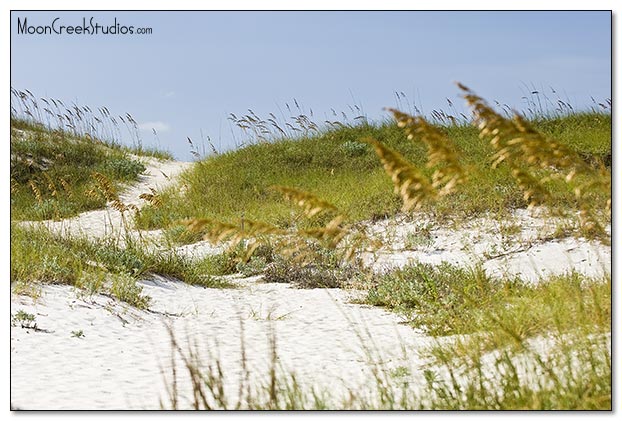 Beaches of South Walton Photograph