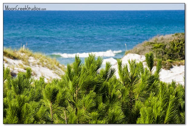 Beaches of South Walton Photograph