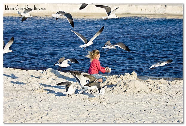 Beaches of South Walton Photograph