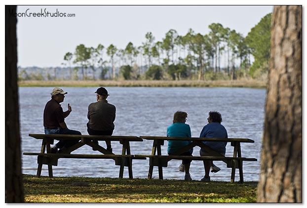 Beaches of South Walton Photograph