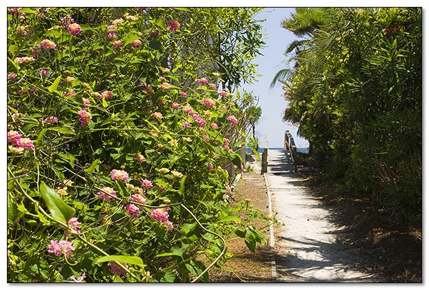 Beaches of South Walton Photograph