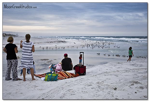 Beaches of South Walton Photograph