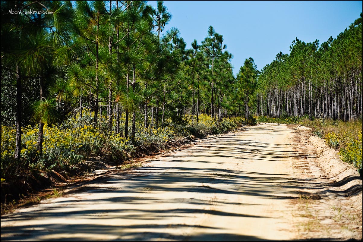 Beaches of South Walton Photograph