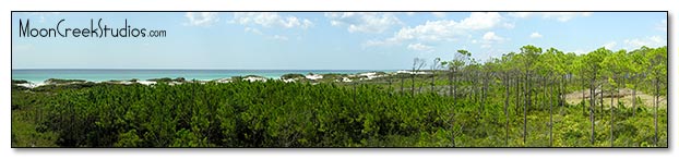 Beaches of South Walton Photograph