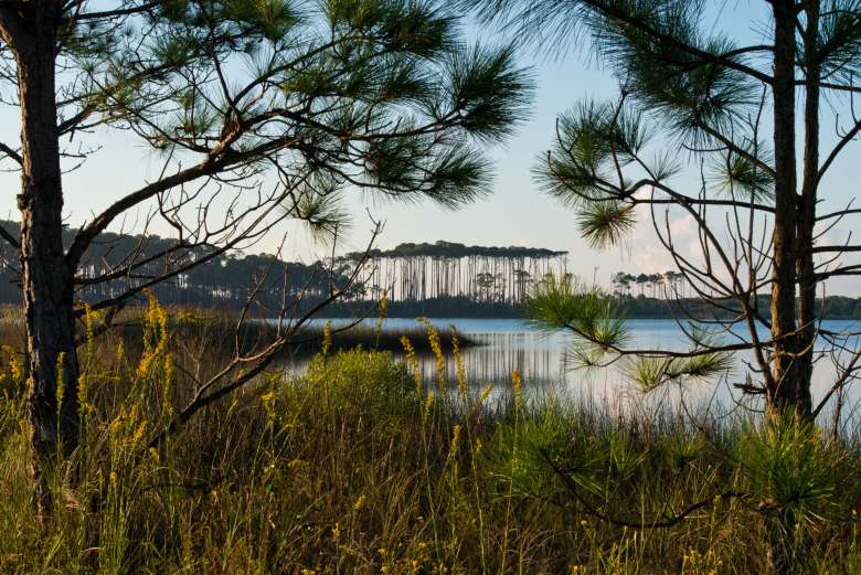 grayton beach lululemon