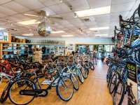 Big daddy bike hot sale shop